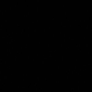 Meet your Posher, Eva